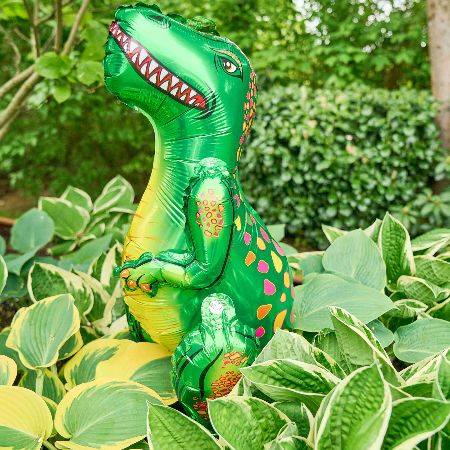 little Birthday® Dinosaurier Geburtstags-Mottobox